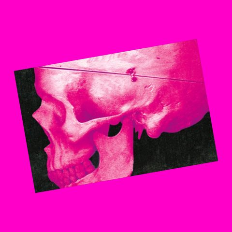 Pink Skull Postcard