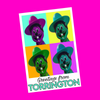 Torrington - Clem Warhol Postcard