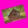 USA - Tennessee - Great Smoky Mountains National Park - Chicken House Postcard