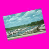 USA - Ohio - Cambridge - Salt Fork State Park Marina Postcard