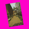 USA - Maryland - Baltimore - Old St. Paul's Church Garden Postcard