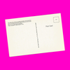USA - Florida - Florida Keys Postcard - More Styles!