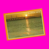 USA - Florida - Florida Keys Postcard - More Styles!