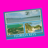 USA - Florida - Florida Keys Postcard - More Styles!