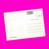 USA - Florida - Florida Keys Postcard - More Styles!