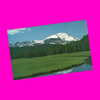USA - Montana - Beaverhead National Forest Postcard