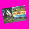 USA - Montana - Where the West Begins Postcard
