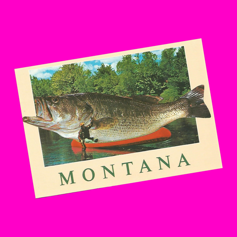 USA - Montana - Border Break Postcard Set