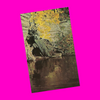 USA - Wisconsin - Wisconsin Dells - Baby Grand Piano Postcard