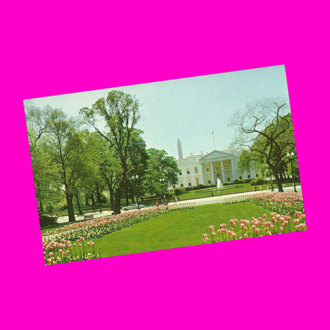 USA - Washington, DC - White House Postcard