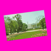 USA - Washington, DC - White House Postcard