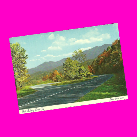 USA - Tennessee - Great Smoky Mountains - Autumn Leaves Postcard