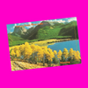 USA - Wyoming - Scenic Postcard Set