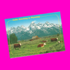 USA - Wyoming - Scenic Postcard Set