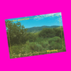 USA - Wyoming - Scenic Postcard Set