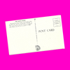USA - Washington, DC - White House Postcard