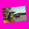 USA - Wisconsin - Wisconsin Dells - Swallows' Nests Postcard