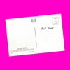 USA - Nevada - Las Vegas - Caesars Palace Postcard
