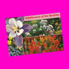 Wildflowers Postcard - More Styles!