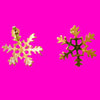 Snowflake Earrings