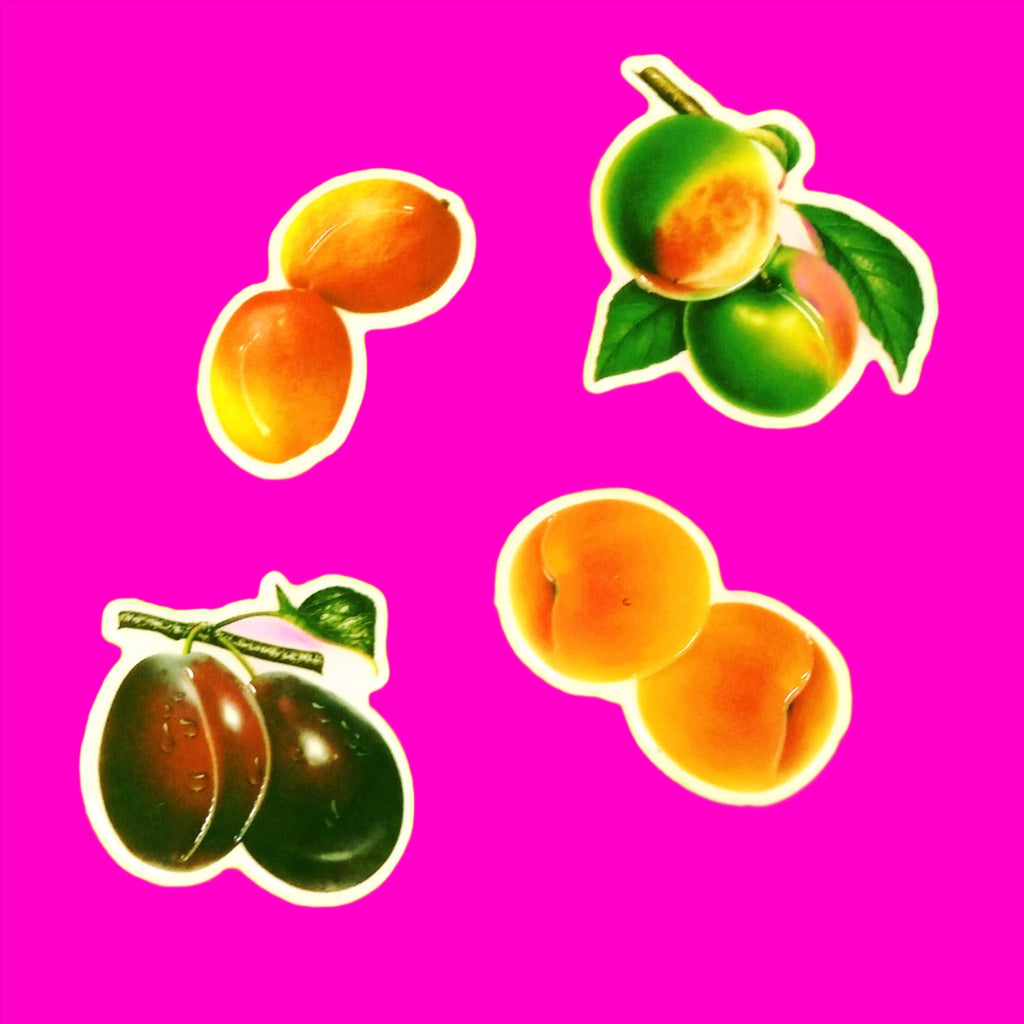 Vintage Fruit Sticker Set - More Styles