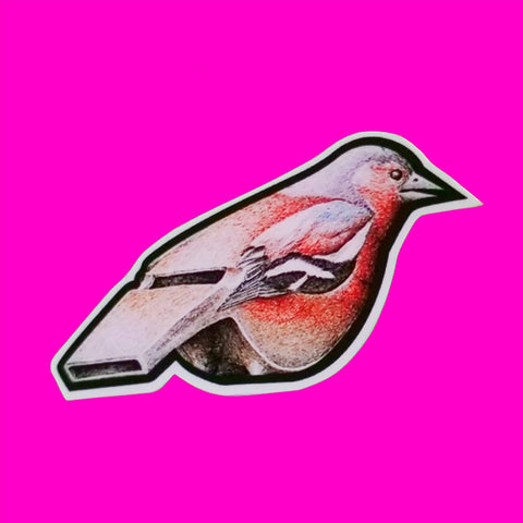 Bird Whistle Sticker