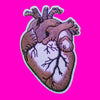 Anatomical Heart Patch - More Colours!