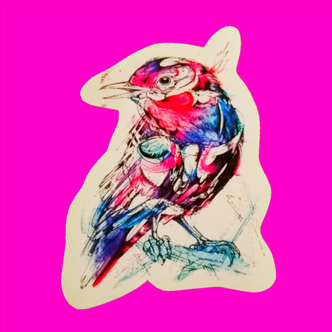 Bird Sketch Sticker