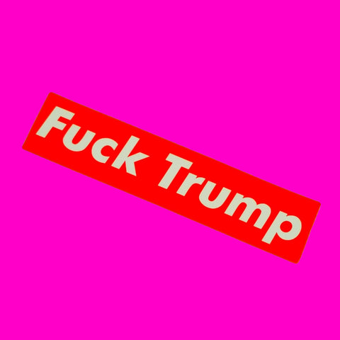 Fuck Trump Sticker