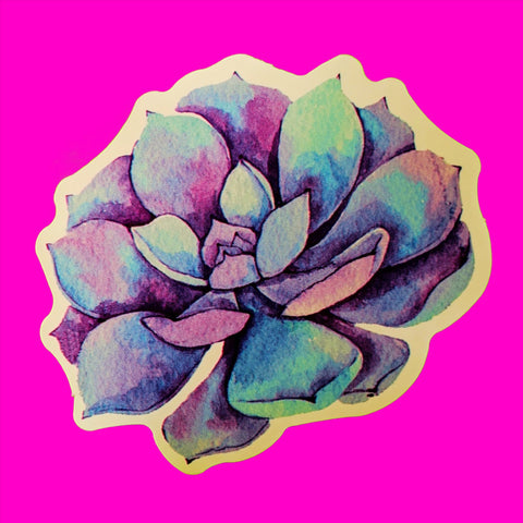 Succulent Watercolour Sticker - More Styles!