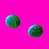 Marbled Button Earrings