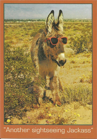 Jackass Postcard