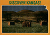 USA - Kansas - Discover Kansas! Postcard