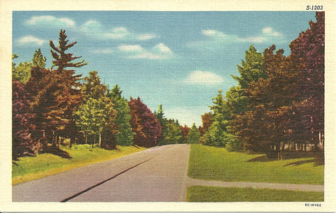 Scenic Roadway Postcard