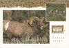 USA - Wyoming - Wildlife Postcard Set