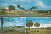 USA - Florida - Sarasota - Kensington Park Postcard