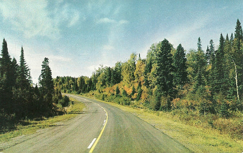Autumn Highway Postcard